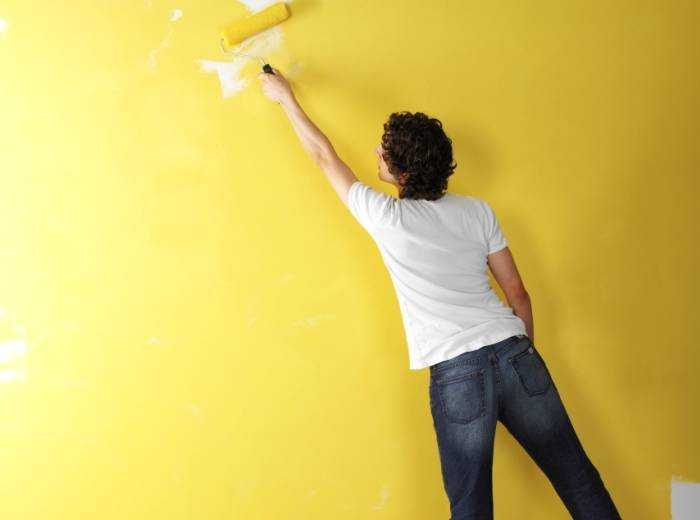 Что выбрать для стен: обои или покраску?