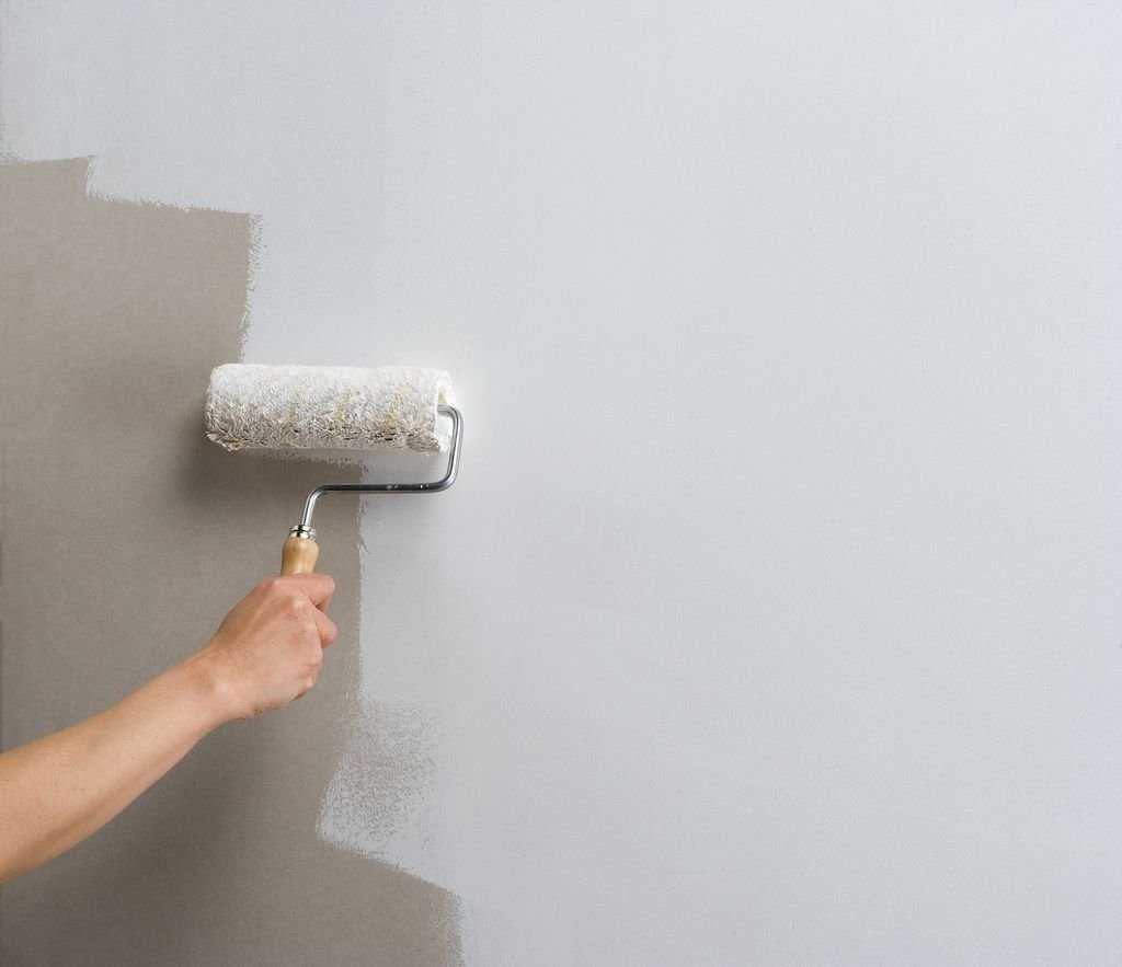 Покраска стен и потолка из гипсокартона своими руками: технология и подготовка