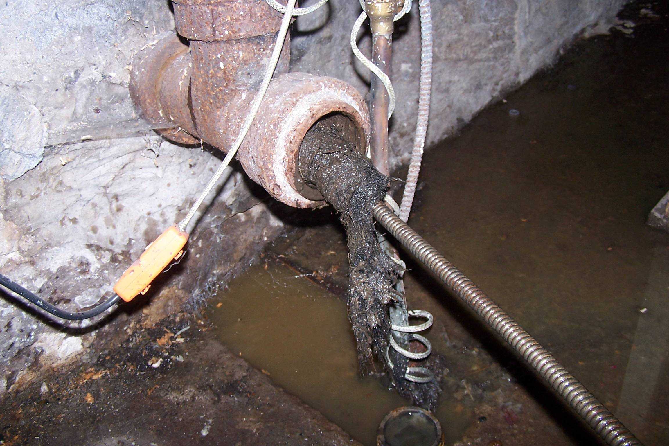 Воняет из раковины на кухне канализацией — что делать и как устранить?