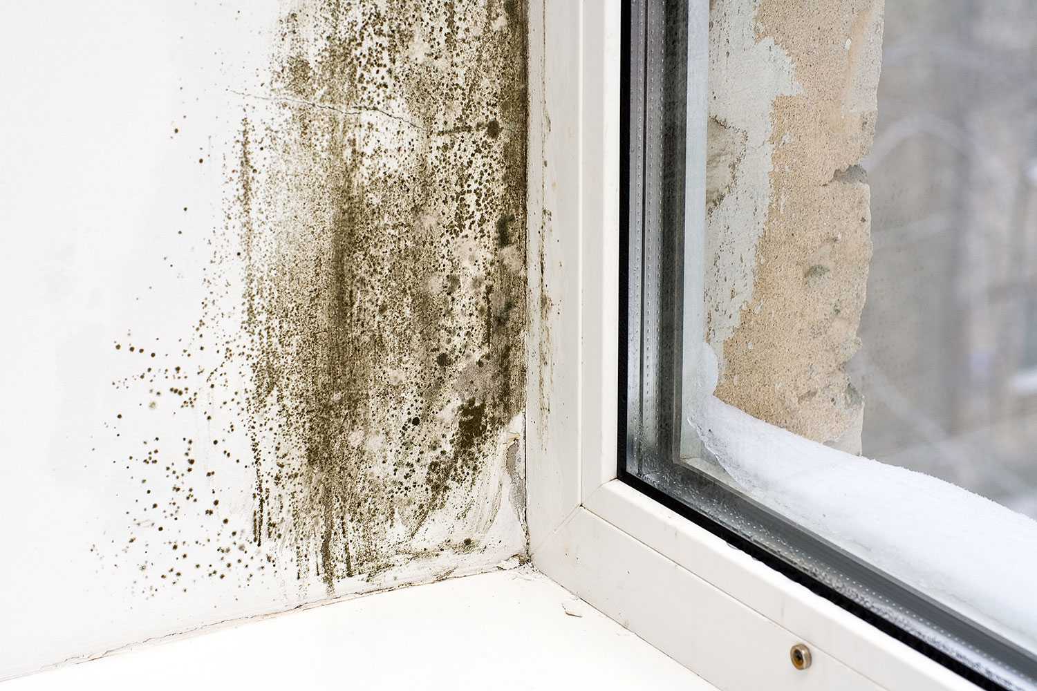 8 советов, как избавиться от сырости в квартире | строительный блог вити петрова