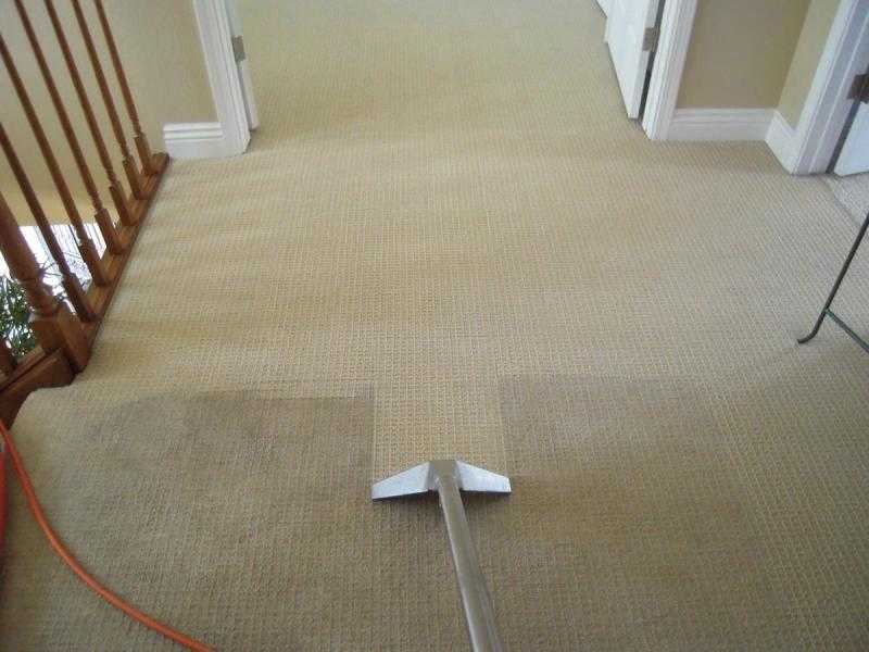Химчистка ковролина на дому и в офисе: профессиональная чистка