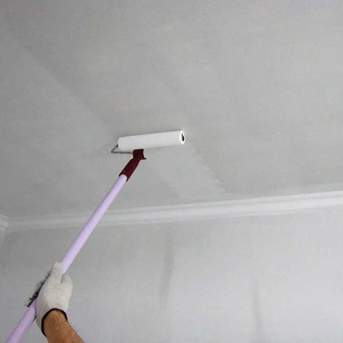 Как покрасить потолок водоэмульсионной краской после побелки?