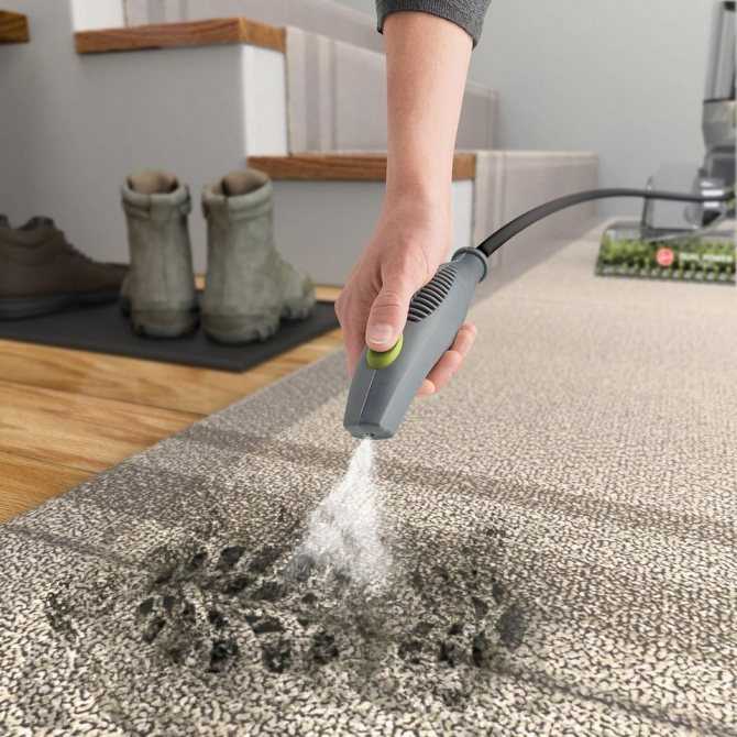 Как почистить ковролин в домашних условиях от пятен и грязи