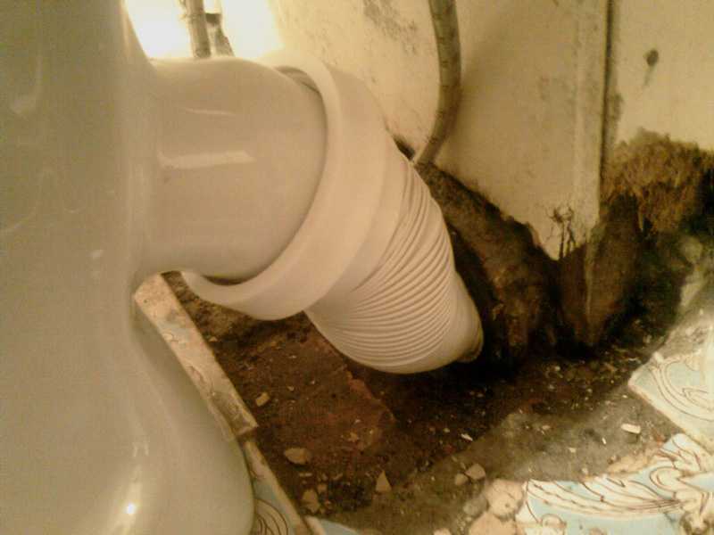 Почему пахнет канализацией в ванной комнате и туалете частного дома: причины возникновения неприятных запахов, способы их устранения
