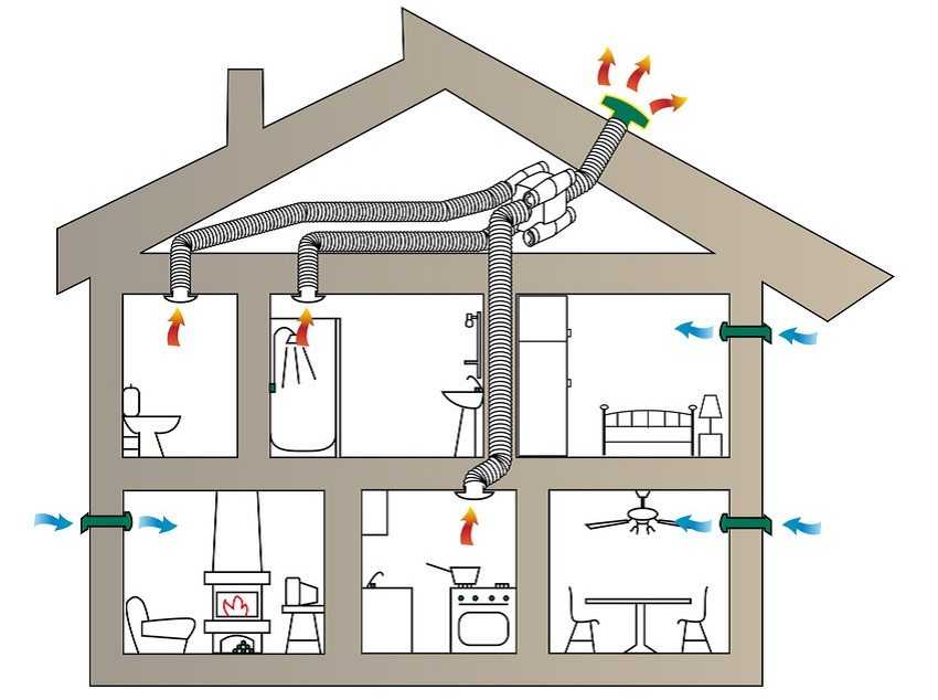 Вентиляция в подвале частного дома, как правильно сделать - схема