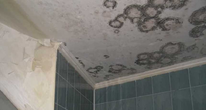 Как удалить плесень или грибок с потолка в ванной