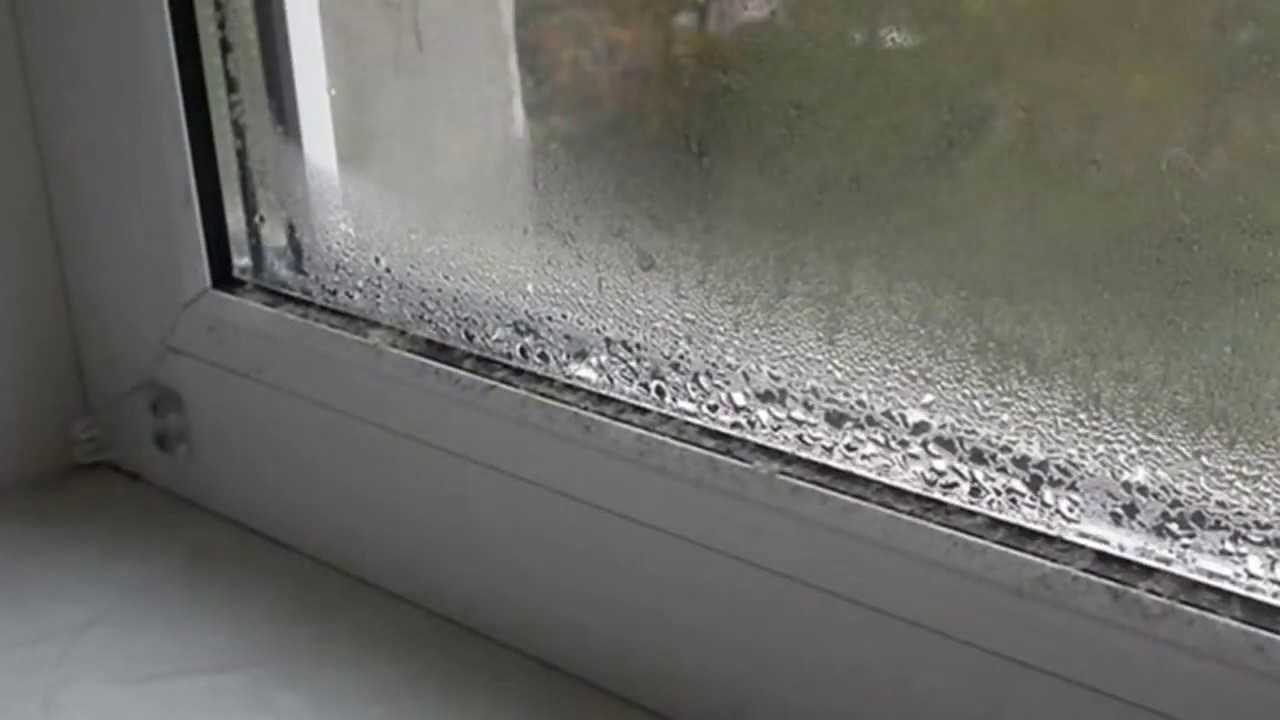 Конденсат на окнах внутри квартиры: почему образуется и как избавиться