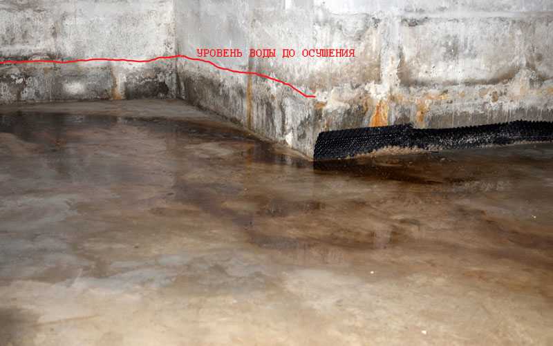 Как высушить погреб- рекомендации по удалению воды из подвала