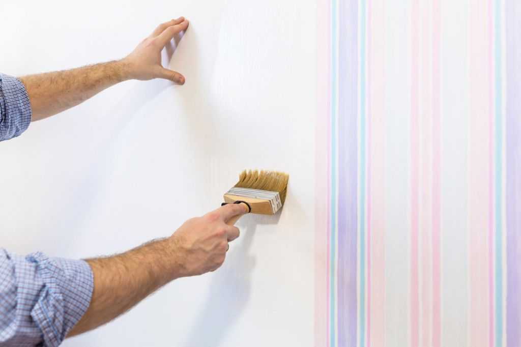 Обои или покраска стен: что лучше? взвешиваем "за" и "против"