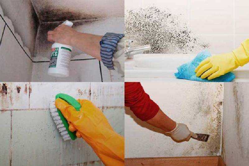 Как удалить плесень или грибок с потолка в ванной