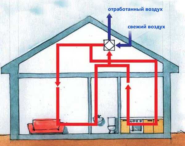 Вентиляция в подвале частного дома, как правильно сделать - схема
