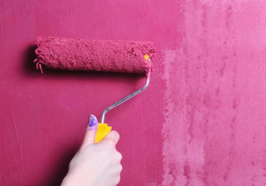 Какой краской покрасить стены в квартире – современные стандарты красоты и уюта