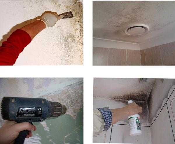 На потолке плесень: как избавиться от грибка на потолке в ванной комнате, обработка, как убрать, удалить грибок и плесень в квартире, как вывести, чем обработать