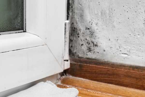 Как избавиться от плесени на стене в домашних условиях: чем обработать окна, потолки и обои