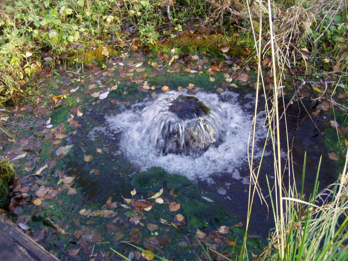 Как найти воду для колодца на участке, способы поиска воды для колодца .