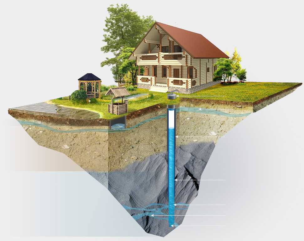 Как найти воду на участке для скважины и поиск места
