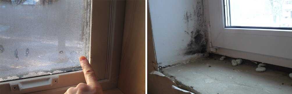 Потеют окна в квартире изнутри что делать: народные средства, пошаговый монтаж оконного клапана