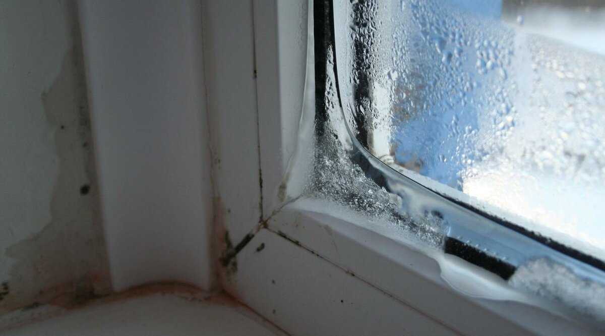 Почему потеют пластиковые окна зимой в квартире