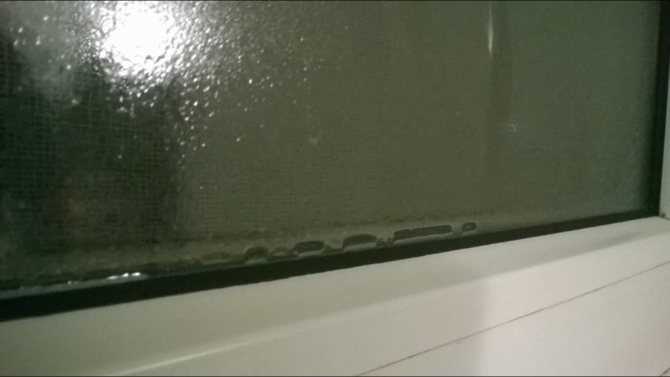 Как убрать плесень на пластиковых окнах и откосах?