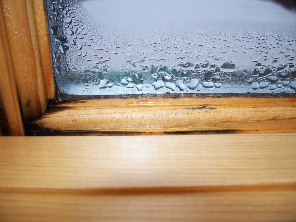 Потеют окна в квартире или доме изнутри – что делать для устранения проблемы