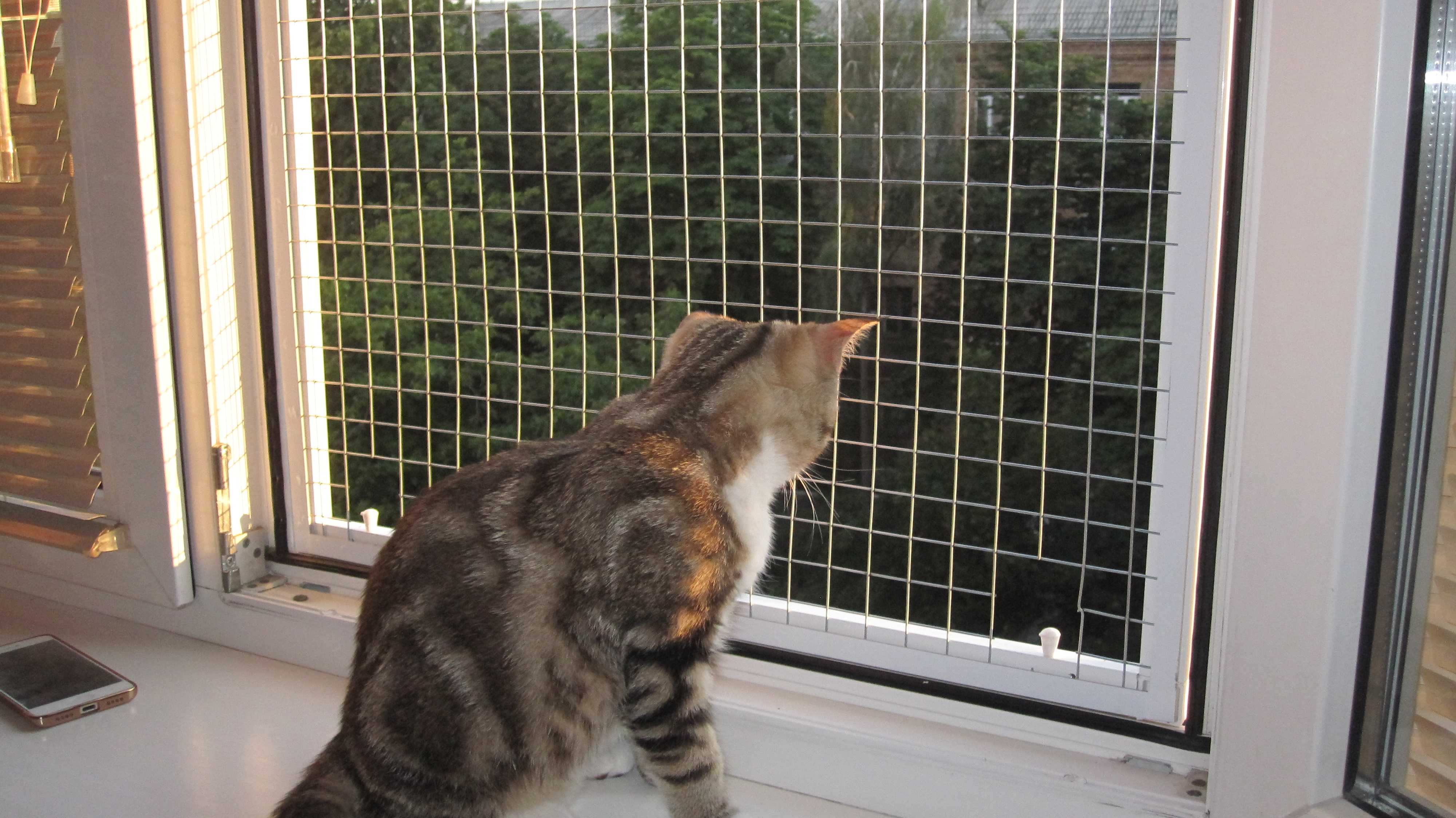 Сетка на окно для кошек антикошка купить. Петскрин антикошка. Москитные сетки антикошка. Клетка антикошка. Решетка антикошка.