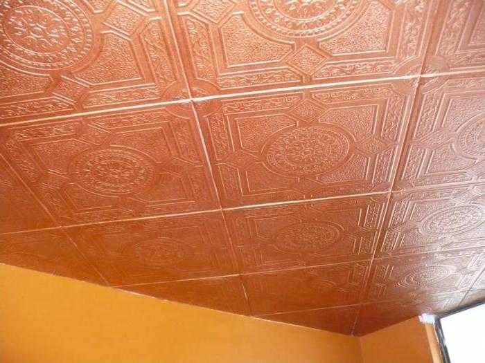 Виды потолочной плитки и типы лакокрасочных покрытий для нее Преимущества и недостатки отдельных видов краски Подготовка поверхности плитки к окрашиванию
